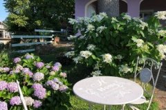 ortensie-giardino-fronte-tavolino
